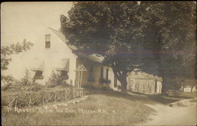 Ragged Robin - Postcard