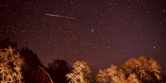 Lyrid Meteor Shower - Alyssa Newcomb