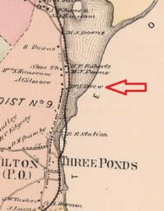 Milton - 1871 (Detail) - Dr S Drew